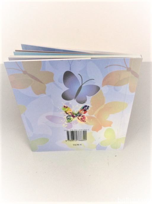 Boris Klemenčič - Zapis metulja, ki je letel dlje