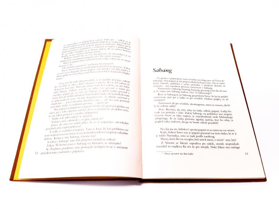 Roman Nada Kraigher - IZ MOJE TRŽAŠKE MAPE