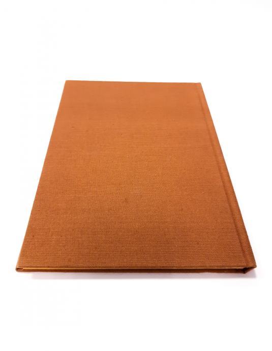 Roman Nada Kraigher - IZ MOJE TRŽAŠKE MAPE