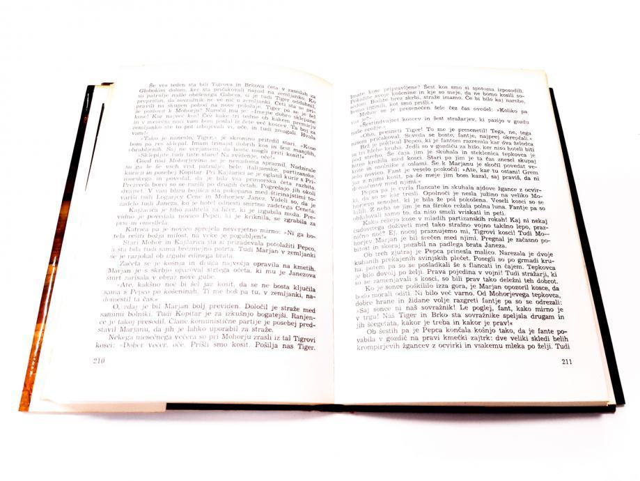 Roman Magda Stražišar-Magduška - SKRIVAČ