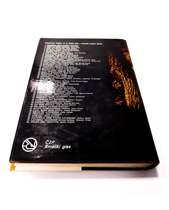 Roman Magda Stražišar-Magduška - SKRIVAČ