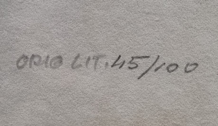 Dore Klemenčič Maj, grafika,  Kmetija 61x42cm