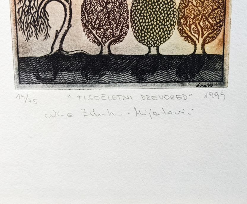 NINA ZELENKO MIJATOVIĆ Grafika Tisočletni drevored 25cm x 32cm