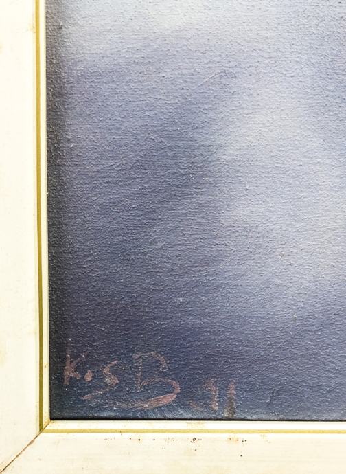 BORIS KOS Akril na platno Viharnik 41cm x 51cm