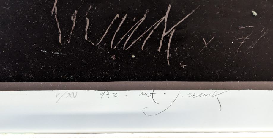 JANEZ BERNIK Grafika Roka 97,50cm x 70cm