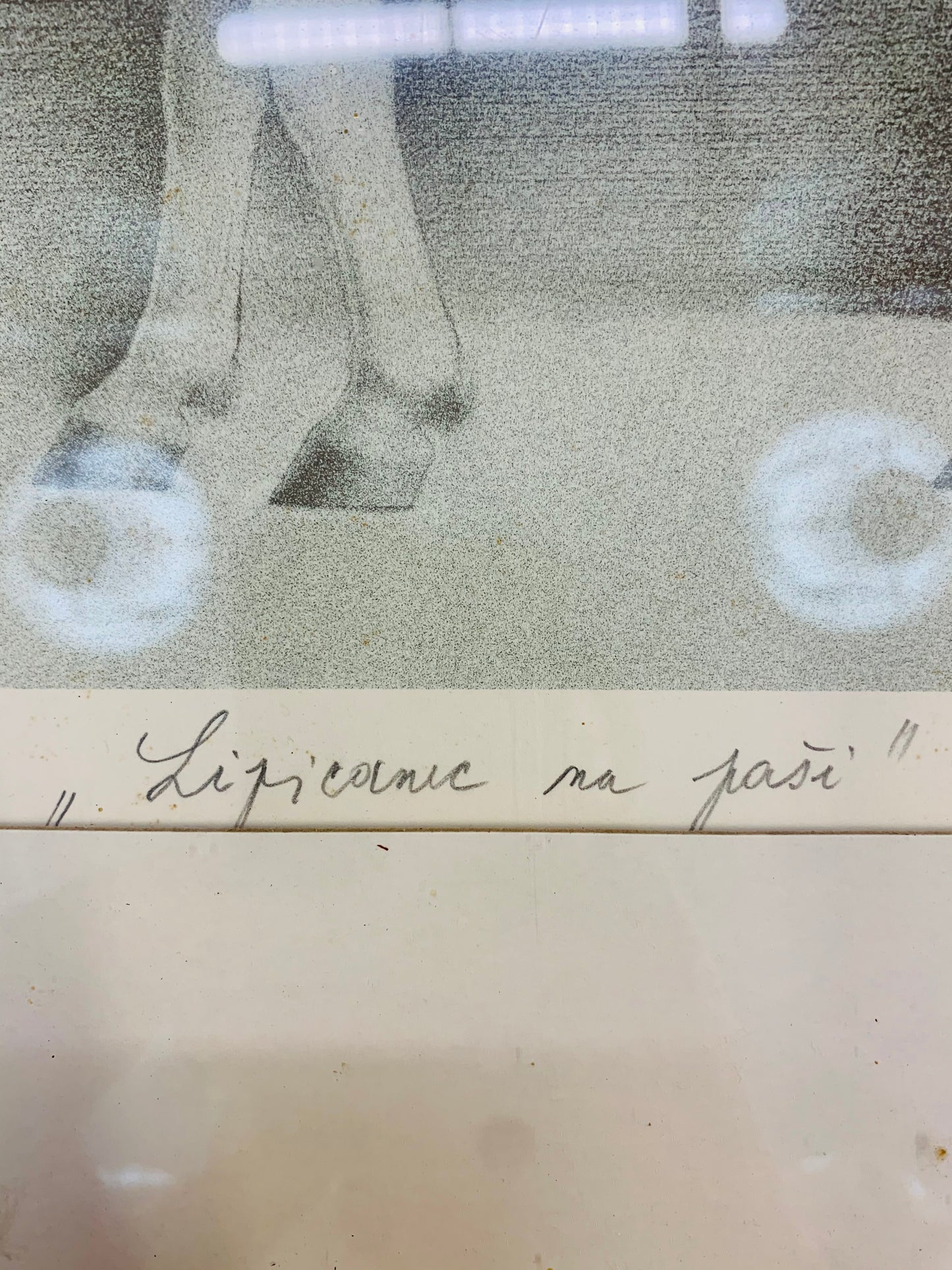 DUŠAN PREMRL Litografija Lipicanec na paši 1980 55cm x 47cm