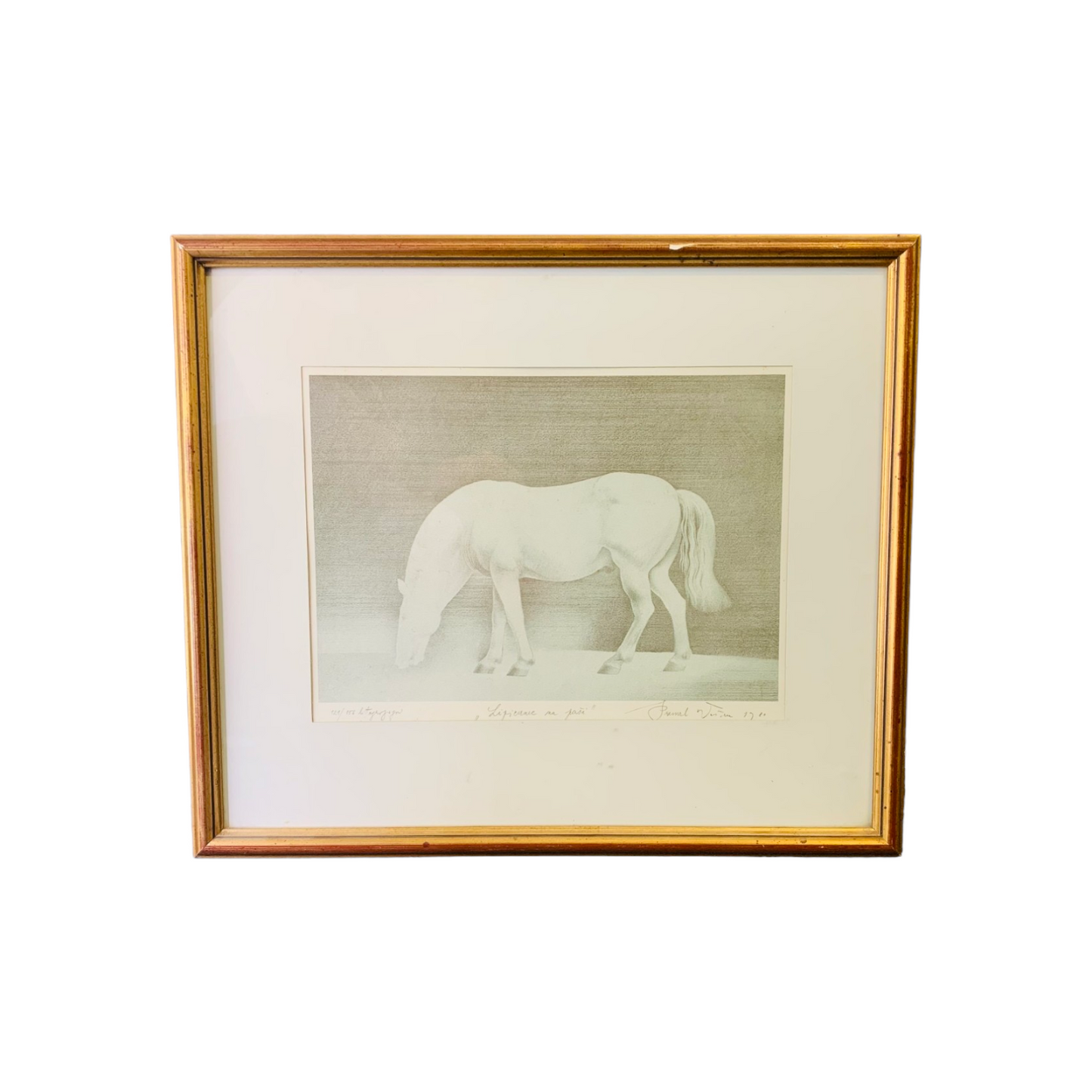 DUŠAN PREMRL Litografija Lipicanec na paši 1980 55cm x 47cm