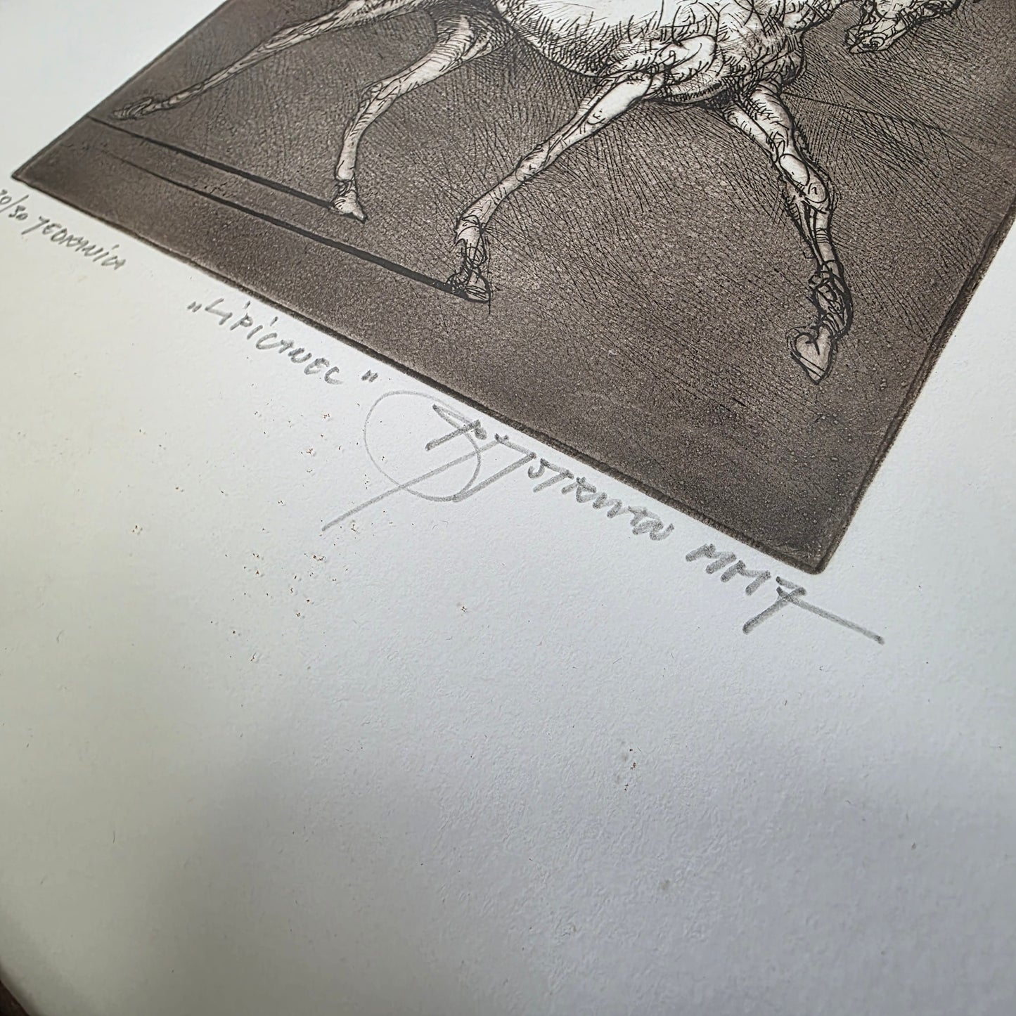 Božidar Strman Mišo; grafika; "Lipicanec"; 34 cm x 34 cm