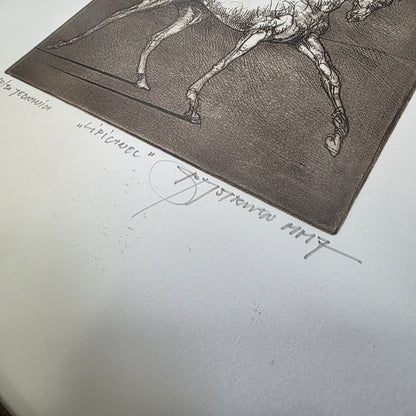 Božidar Strman Mišo; grafika; "Lipicanec"; 34 cm x 34 cm