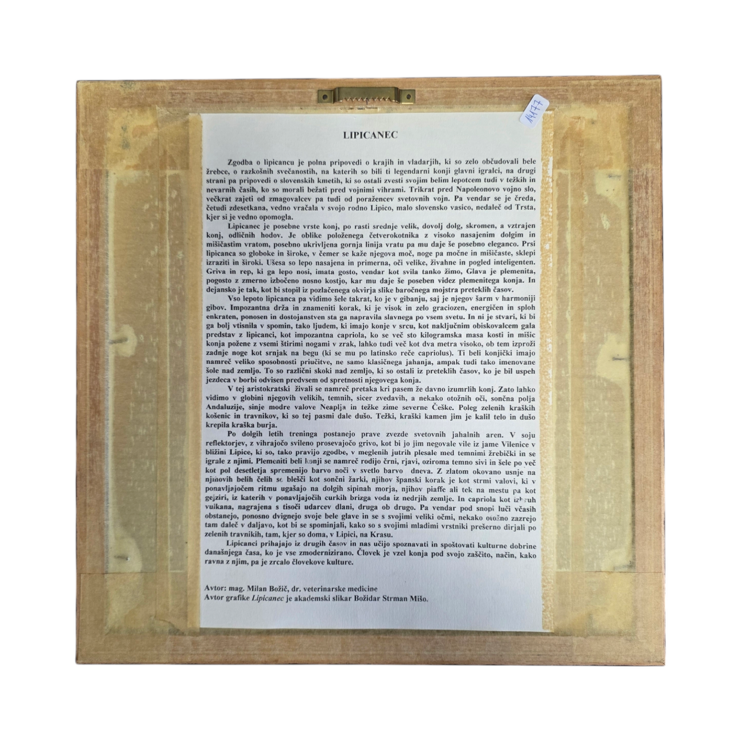 Božidar Strman Mišo; grafika; "Lipicanec"; 34 cm x 34 cm