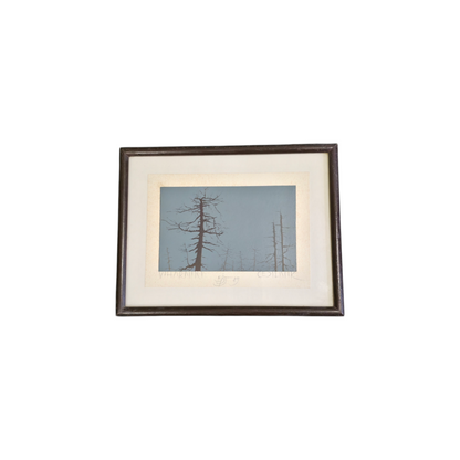 Cedilnik; grafika; "VIHARNIKI"; 30 cm x 24 cm