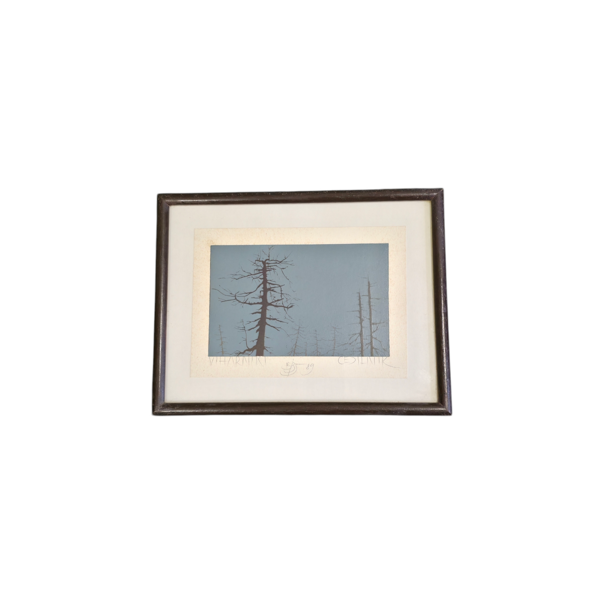 Cedilnik; grafika; "VIHARNIKI"; 30 cm x 24 cm
