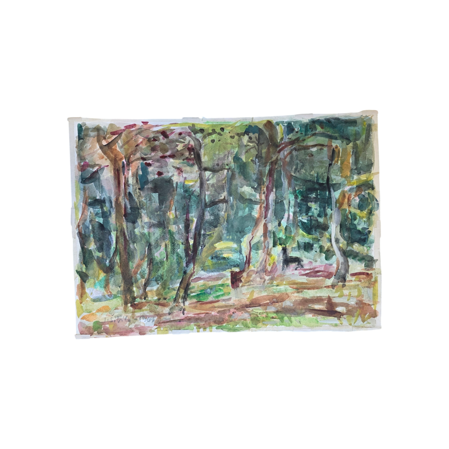 Janez Šibila; Akvarel na papir; "Gozd"; 44 cm x 31 cm