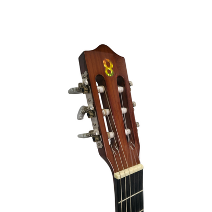 Akustična kitara Stagg C542