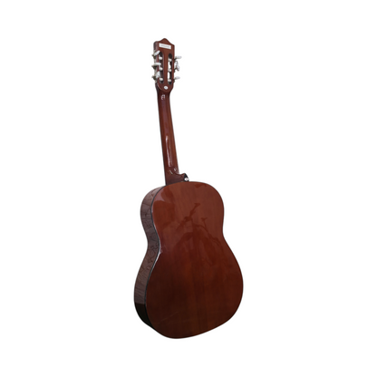 Akustična kitara Stagg C542