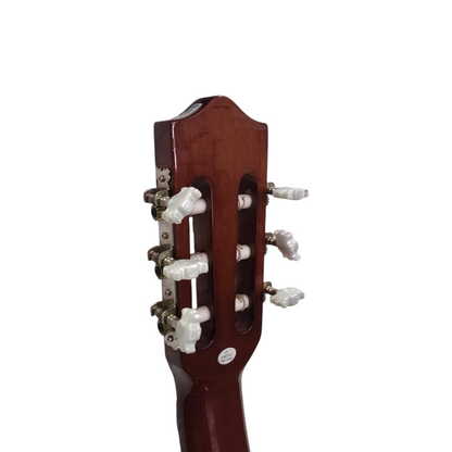 Akustična kitara Stagg C542