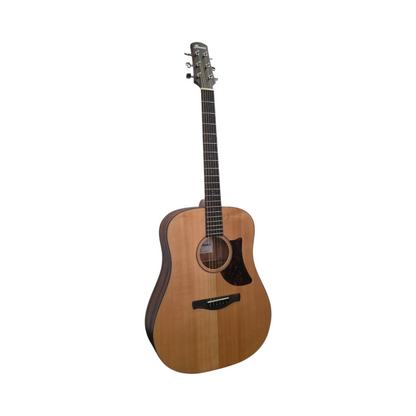 Akustična kitara Ibanez AAD100