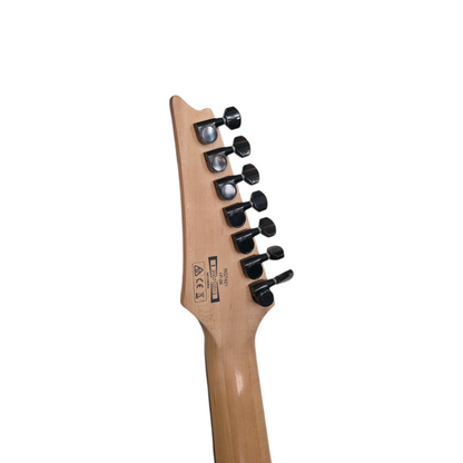 Električna kitara Ibanez RG7421