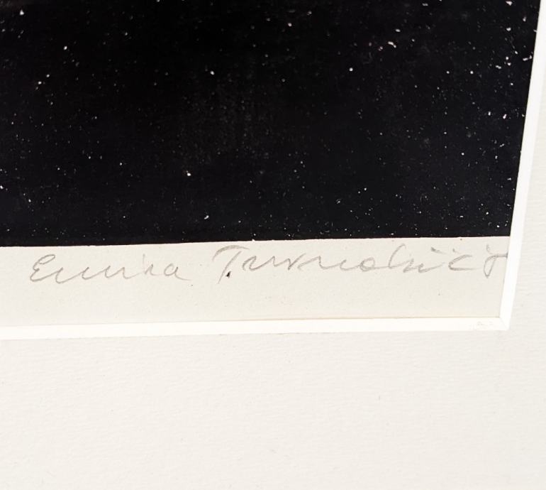 Neznani avtor, Grafika Ptice 58,50cm x 79cm