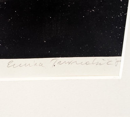Neznani avtor, Grafika Ptice 58,50cm x 79cm