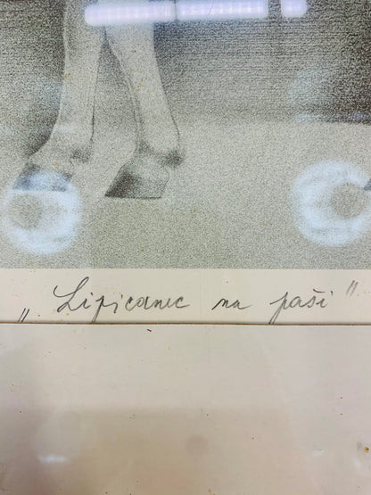 DUŠAN PREMRL Litografija Lipicanec na paši 1980 55cm x 47cm