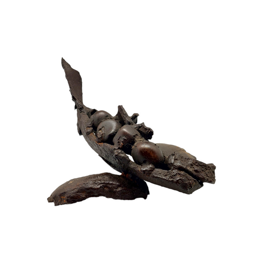 Kip TONE SVETINA; Sled Votline 25X28cm