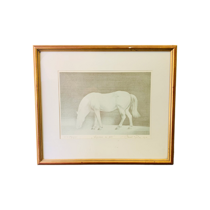 DUŠAN PREMRL Litografija Lipicanec na paši 1980 55cm x 47cm