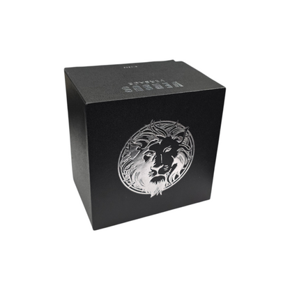 Ročna ura Versace VERSUS