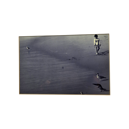 Tomi Lombar; fotografija; "Obala"; DELO 2002; 40 cm x 55 cm
