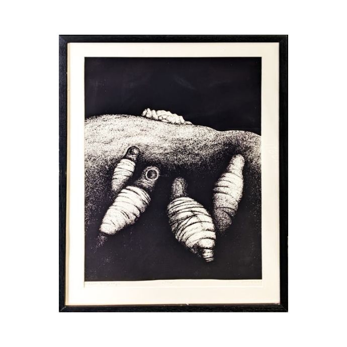 Neznani avtor, Grafika Ptice 58,50cm x 79cm